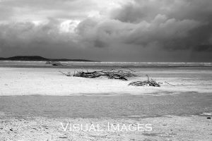 beach scene in black and white